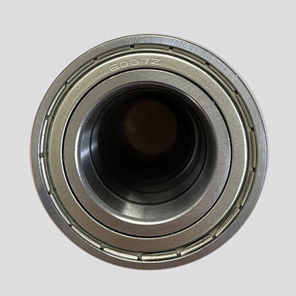 6007 Bearings